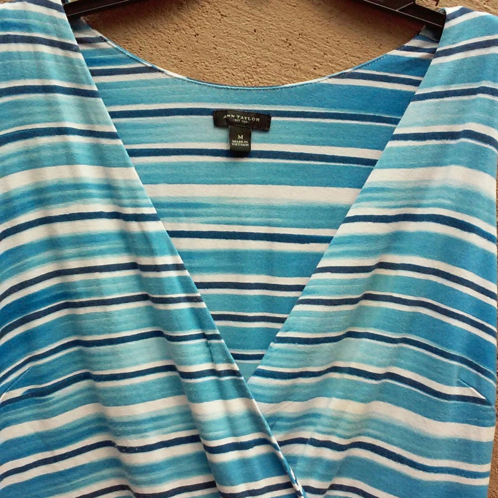 Ann Taylor Blue and White Maxi Dress Size Medium